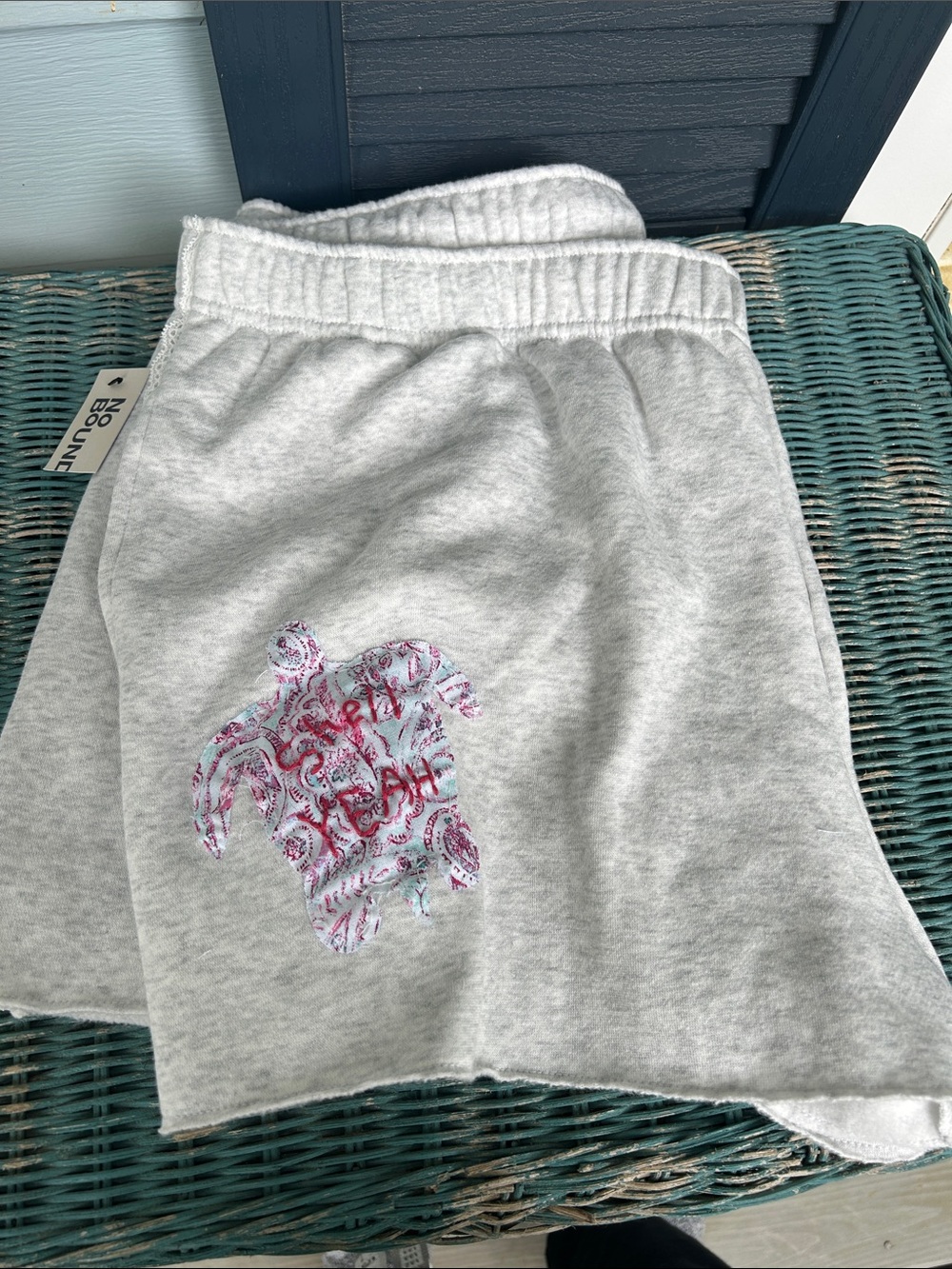 No Boundaries Light Gray Sweatshorts with Pink & Blue Embroidered Turtle